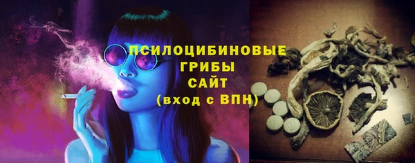 гидра Абдулино