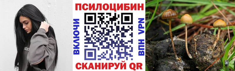 где продают   Новоуральск  Галлюциногенные грибы Psilocybine cubensis 